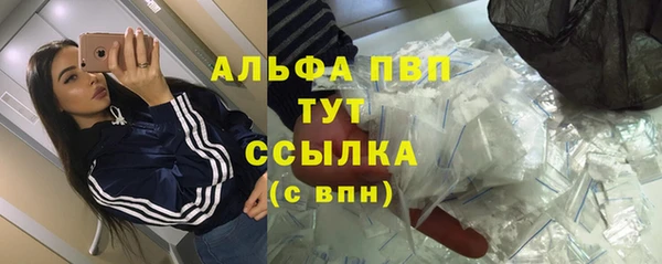 мдпв Осташков