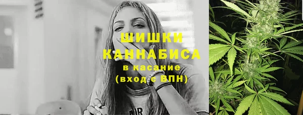 стафф Пестово