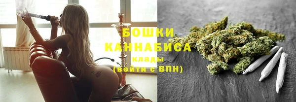 спиды Пересвет