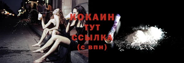 соль ск Переславль-Залесский