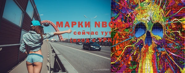 индика Воткинск