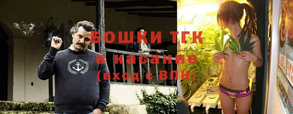 мдпв Осташков
