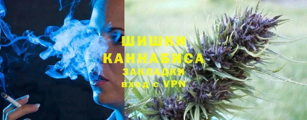 мдпв Осташков