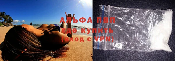 спиды Пересвет