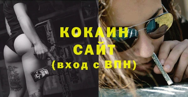 ешки Гатчина