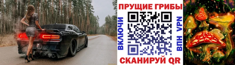 купить  сайты  Покачи  Галлюциногенные грибы GOLDEN TEACHER 